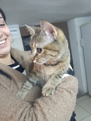 Dost Veteriner Kliniği fotoğrafı