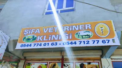 ŞİFA1 VETERİNER KİLİNİGİ fotoğrafı